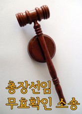 총장선임 무효확인 소송 (사립학교 판결문) 표지 이미지