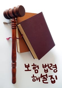 보험 법령 해설집 (52가지 법률 해석)