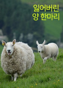 잃어버린 양 한 마리 (부족한 1%)