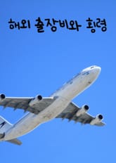 해외 출장비와 횡령 표지 이미지