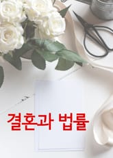 결혼과 법률(결혼중개업법, 국제결혼) 표지 이미지