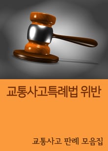 교통사고특례법 위반 (교통사고 판례 모음집)