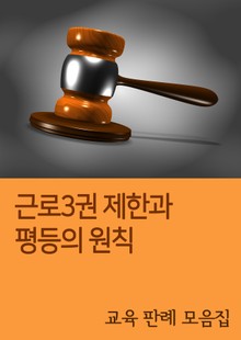 근로3권 제한과 평등의 원칙 (교육 판례 모음집)