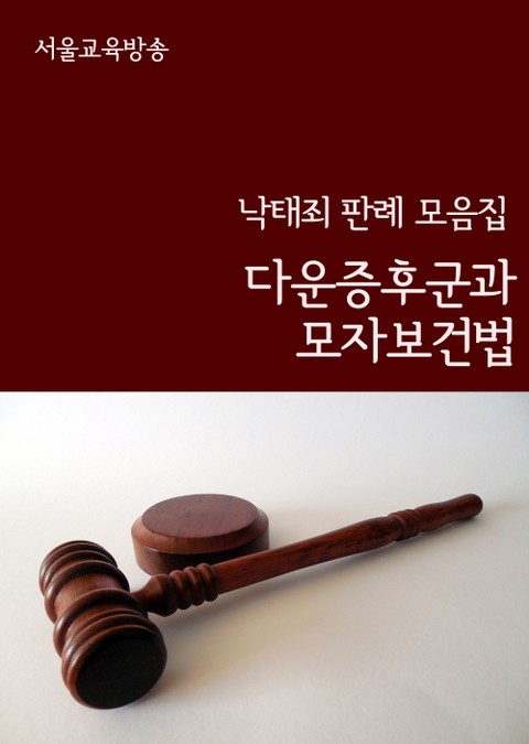 다운증후군과 모자보건법 (낙태죄 판례 모음집) 표지 이미지