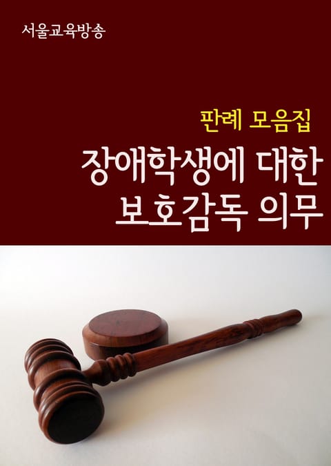 장애학생에 대한 보호감독 의무 (판례 모음집) 표지 이미지