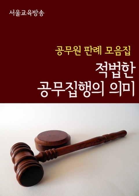 적법한 공무집행의 의미 (공무원 판례 모음집) 표지 이미지