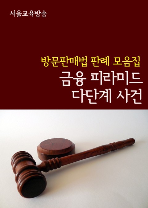 금융 피라미드 다단계 사건 (방문판매법 판례 모음집) 표지 이미지