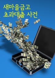 새마을금고 초과대출 사건 (통째로 읽는 판결문)