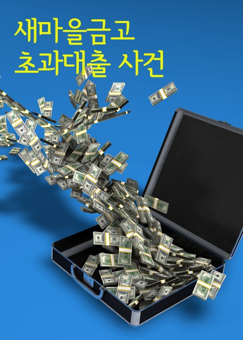 새마을금고 초과대출 사건 (통째로 읽는 판결문) 표지 이미지