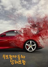 무보험자동차 상해보험 (다른 자동차 조건) 표지 이미지