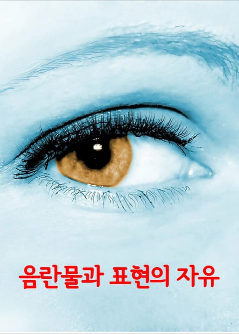 음란물과 표현의 자유 (음란물에 사상과 예술이 첨가되면 음란물이 아니다) 표지 이미지