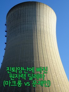 진퇴양난에 빠진 원자력 딜레마 (마크롱 vs 문재인)