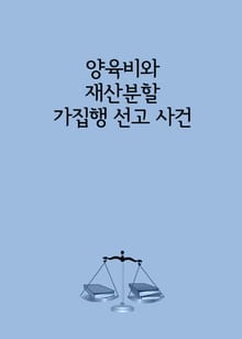 양육비와 재산분할 가집행 선고 사건