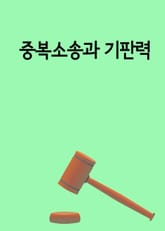 중복소송과 기판력 표지 이미지