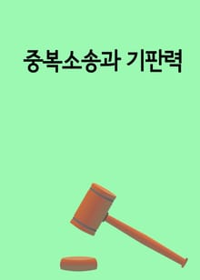 중복소송과 기판력