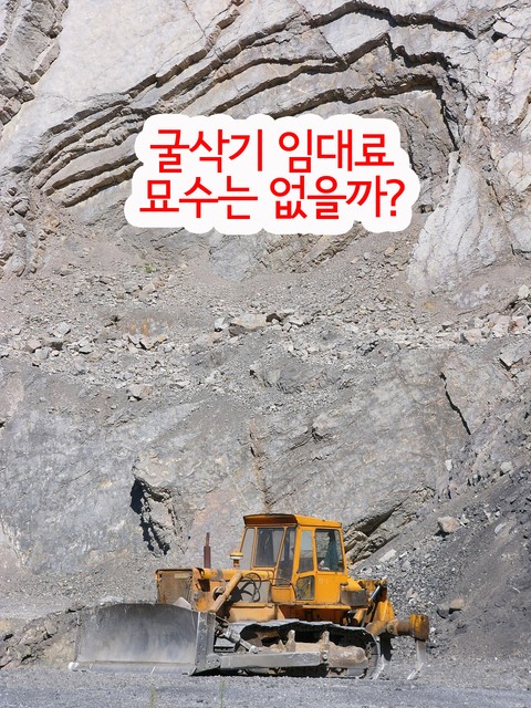 굴삭기 임대료, 묘수는 없을까 (건설기계사업자의 생존권 보호정책 모색해야) 표지 이미지