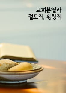 교회분열과 절도죄, 횡령죄