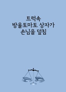 트럭속 방울토마토 상자가 손님을 덮친 사건