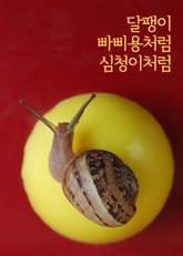 달팽이, 빠삐용처럼, 심청이처럼 표지 이미지