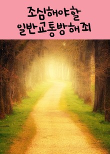 조심해야할 일반교통방해죄 (성수대교 붕괴사고 등등)