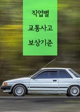 직업별 교통사고 보상기준 (자동차 보험 판례 모음집) 표지 이미지