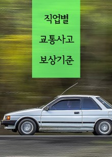 직업별 교통사고 보상기준 (자동차 보험 판례 모음집)