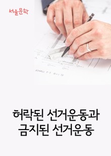 허락된 선거운동과 금지된 선거운동 (사건과 판결문)