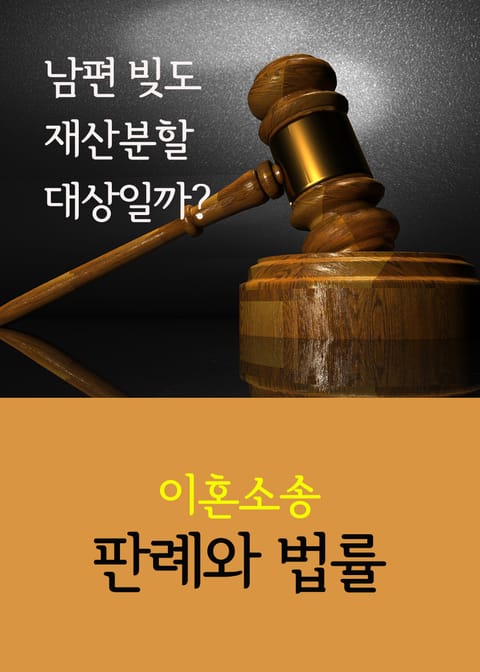 남편 빚도 재산분할 대상일까 (이혼소송 판례와 법률) 표지 이미지