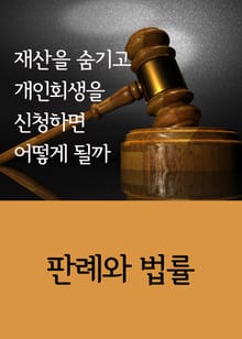 재산을 숨기고 개인회생을 신청하면 어떻게 될까 (판례와 법률)