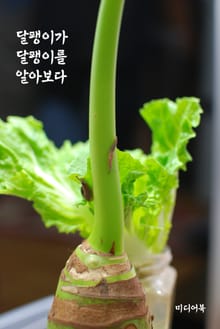 달팽이가 달팽이를 알아보다 (서울교육방송 칼럼 모음집)