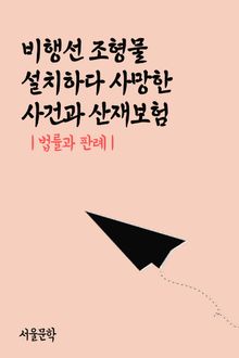 비행선 조형물 설치하다 사망한 사건과 산재보험 (법률과 판례)