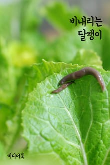 비내리는 달팽이 (시인 장창훈의 시와 수필)