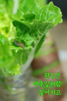 관심은 배추잎처럼 깊어지고 (서울교육방송 칼럼 모음집)