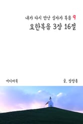 내가 다시 만난 십자가 복음 9 : 요한복음 3장 16절 표지 이미지