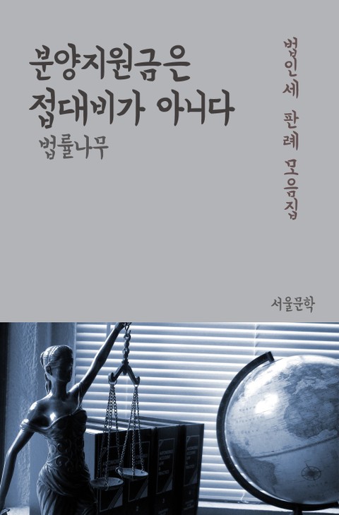 분양지원금은 접대비가 아니다 (법인세, 판례 모음집) 표지 이미지