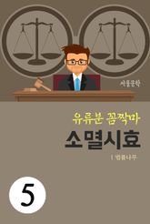 유류분 꼼짝마 5. 소멸시효 표지 이미지