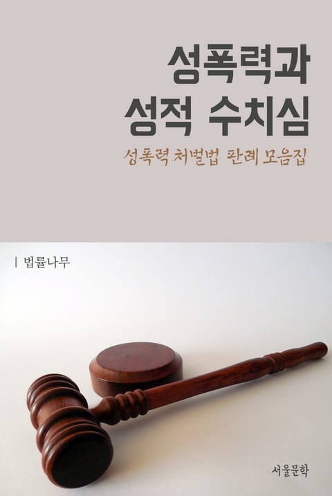 성폭력과 성적 수치심 (성폭력처벌법 판례 모음집) 표지 이미지