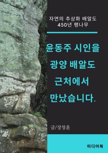 윤동주 시인을 광양 배알도 근처에서 만났습니다 (자연의 추상화 배알도, 450년 팽나무)