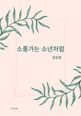 소풍가는 소년처럼 표지 이미지