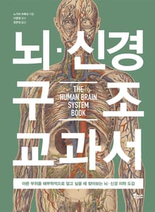 뇌·신경 구조 교과서