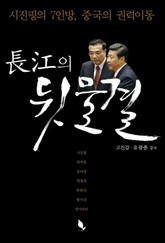 장강의 뒷물결 표지 이미지