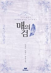 매의 검 표지 이미지