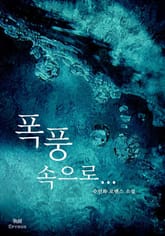 폭풍 속으로 표지 이미지