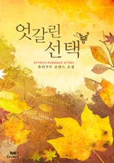 엇갈린 선택 표지 이미지