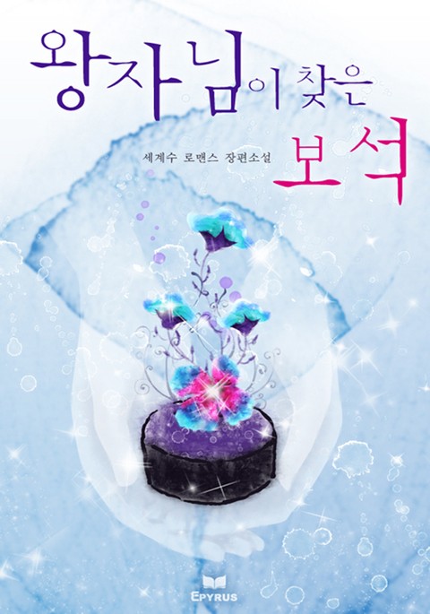 왕자님이 찾은 보석