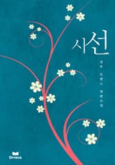 시선 표지 이미지