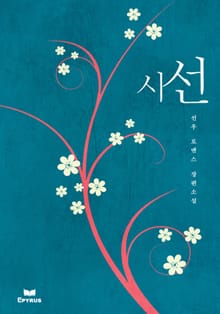 시선