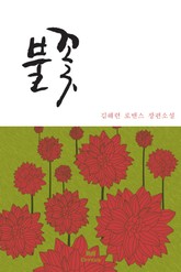 불꽃 표지 이미지