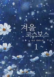 겨울 코스모스 1