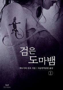 검은 도마뱀 1